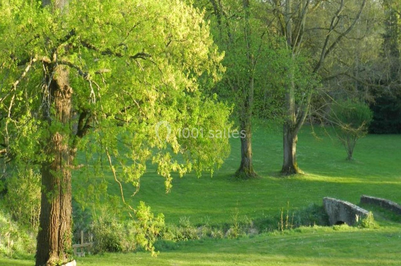 Paysage verdoyant avec arbres feuillus, pelouse ensoleillée et petit pont en pierre près d'un ruisseau.
