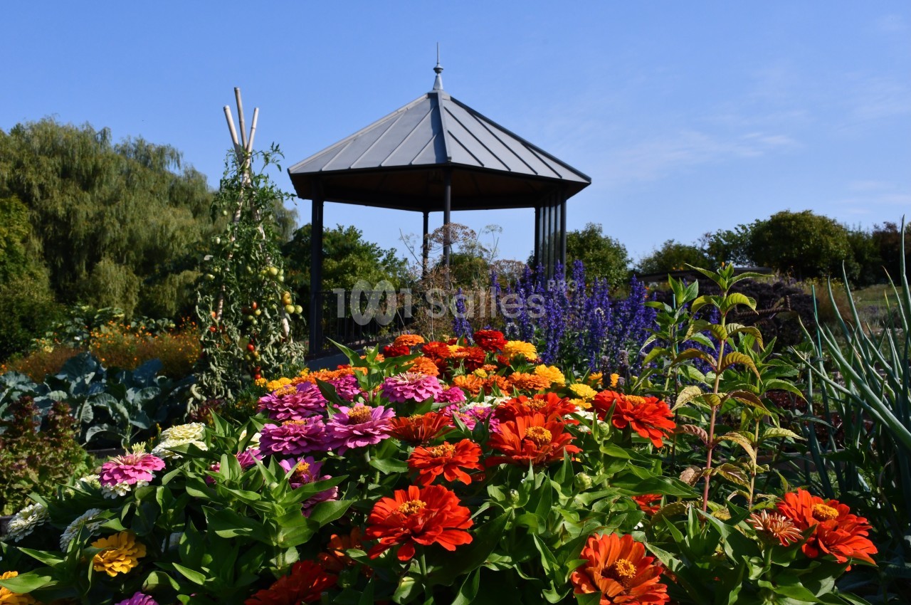 Massif de fleurs colorées devant un kiosque en métal noir, entouré de végétation sous un ciel bleu.