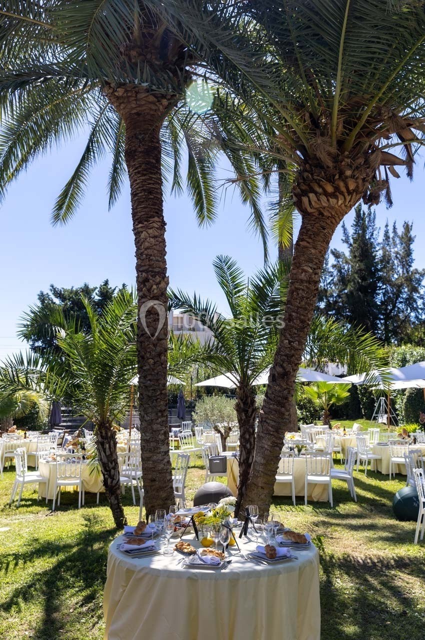 Table dressée pour un repas en plein air sous des palmiers, entourée de chaises et de verdure.