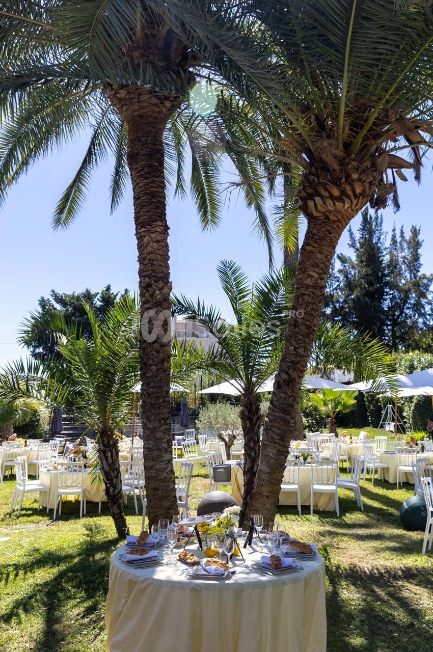 Table dressée pour un repas en plein air sous des palmiers, entourée de chaises et de verdure.