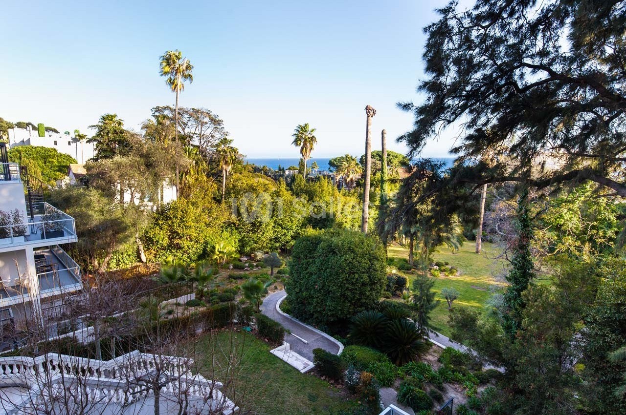 Vue sur un jardin arboré avec des palmiers, des allées et la mer visible à l'horizon sous un ciel dégagé.