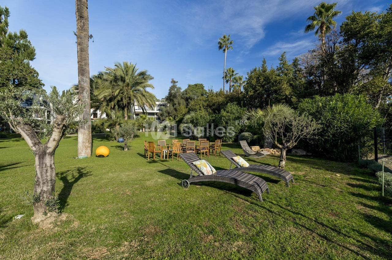 Chaises et tables en bois disposées sur une pelouse entourée d'arbres, avec des transats au premier plan.