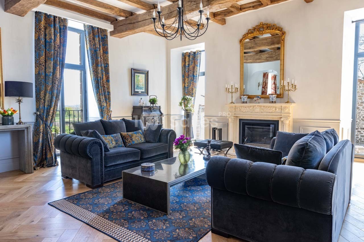 Salon élégant avec canapés bleus, cheminée ornée, miroir doré, tapis à motifs et grandes fenêtres laissant entrer la lumière.