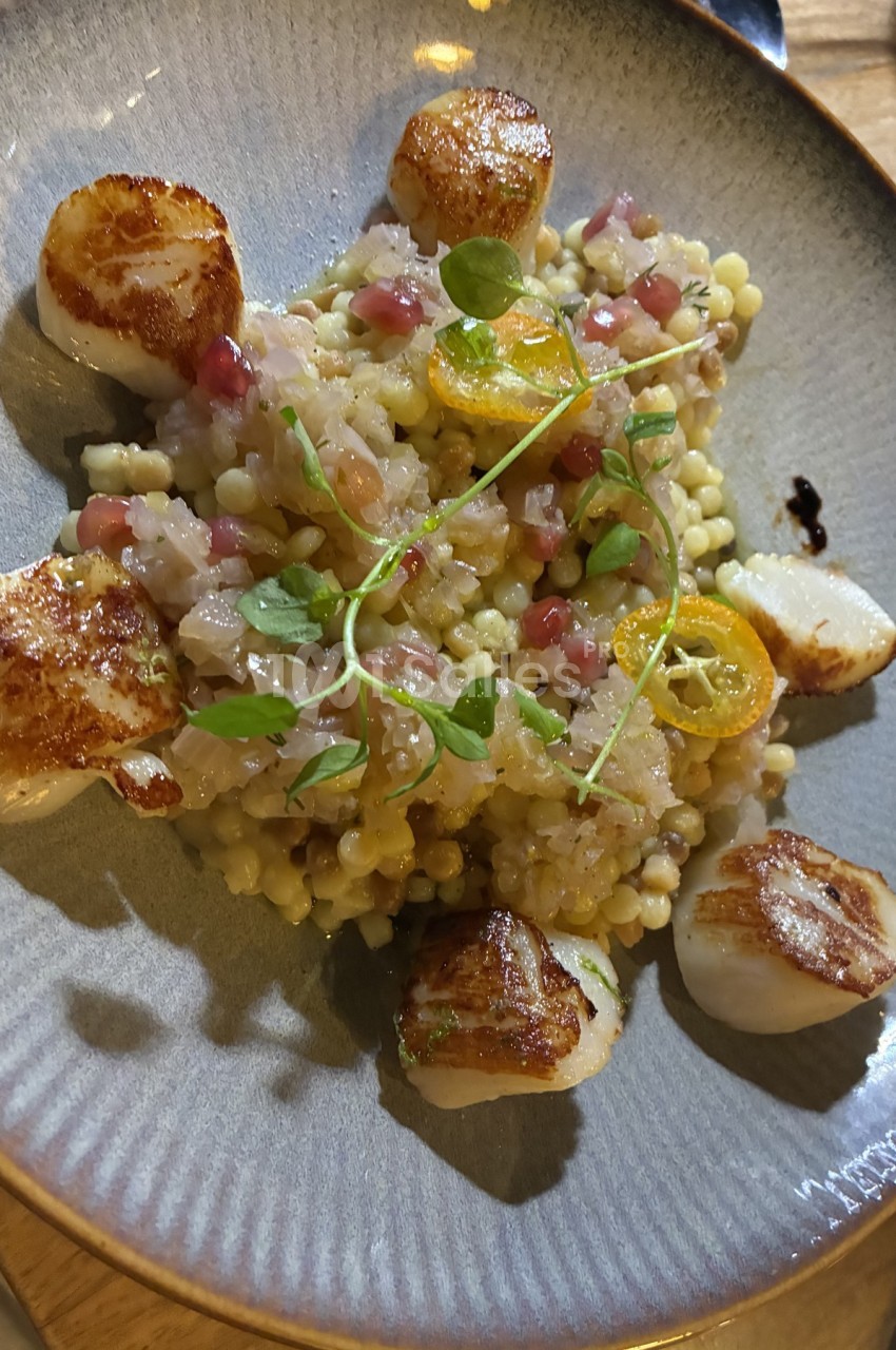 Assiette de noix de Saint-Jacques poêlées accompagnées de risotto perlé, tomates cerises et micro-pousses.