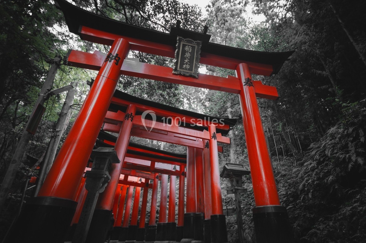 Allée de torii rouges dans une forêt dense, typique des sanctuaires japonais.