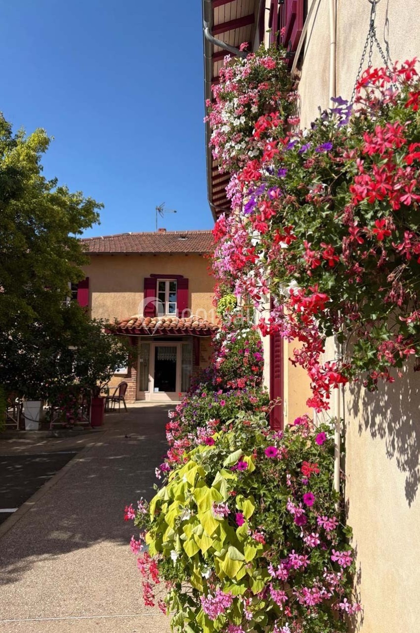 Façade ensoleillée ornée de jardinières fleuries, avec une allée menant à une maison aux volets rouges.