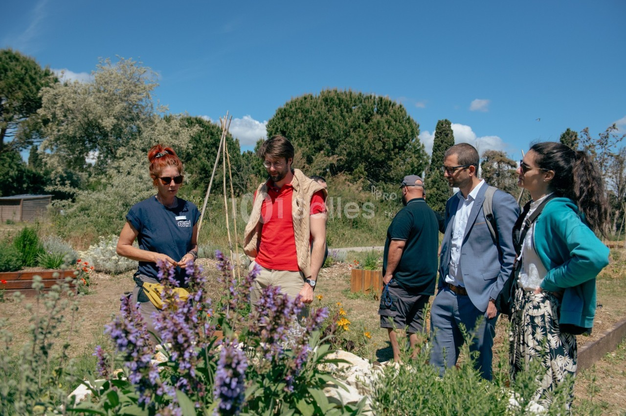 Un groupe de personnes discute dans un jardin, entouré de plantes et d'arbres sous un ciel bleu.
