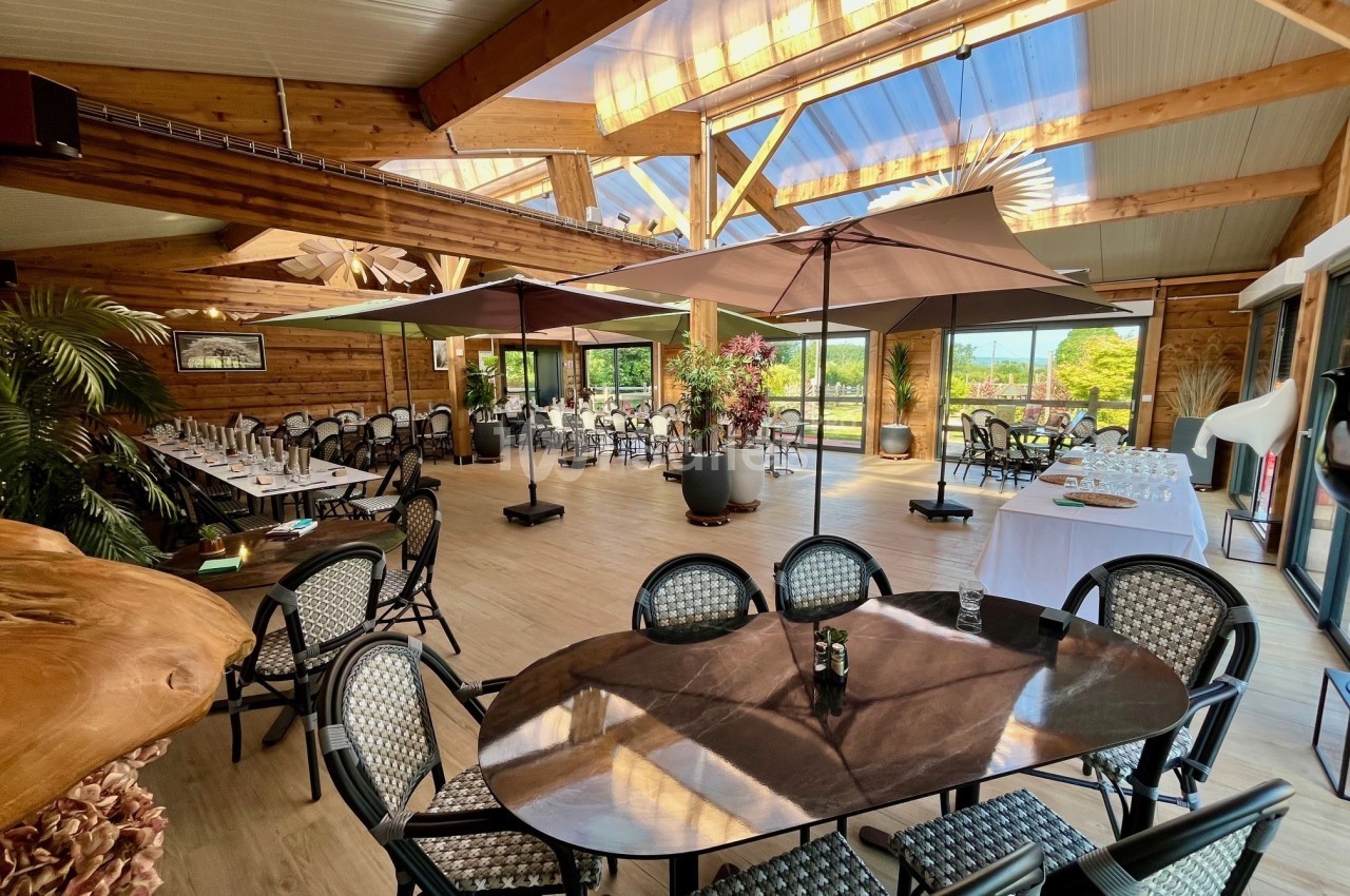 Salle lumineuse avec grandes baies vitrées, tables dressées, parasols et vue sur un extérieur verdoyant.
