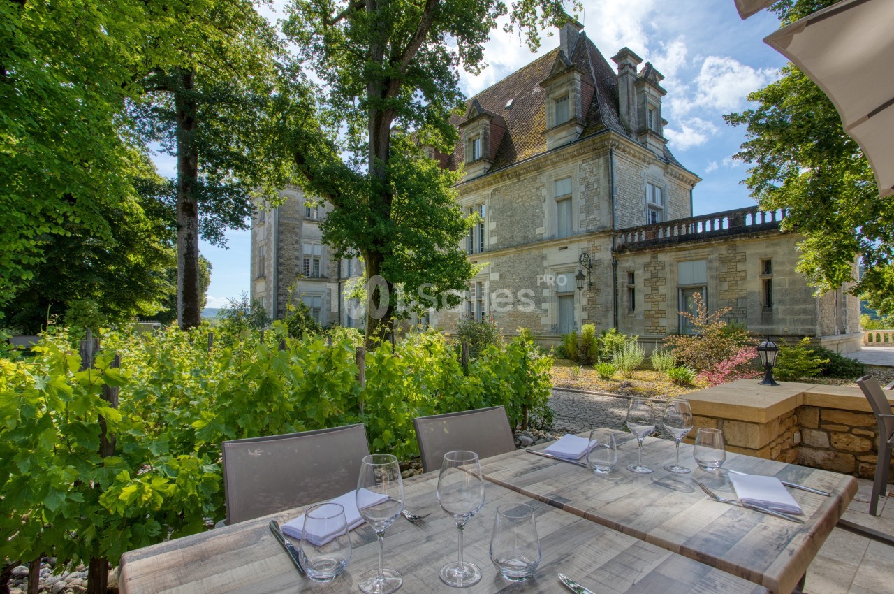 Table dressée en extérieur avec vue sur un château en pierre entouré de verdure et de vignes.