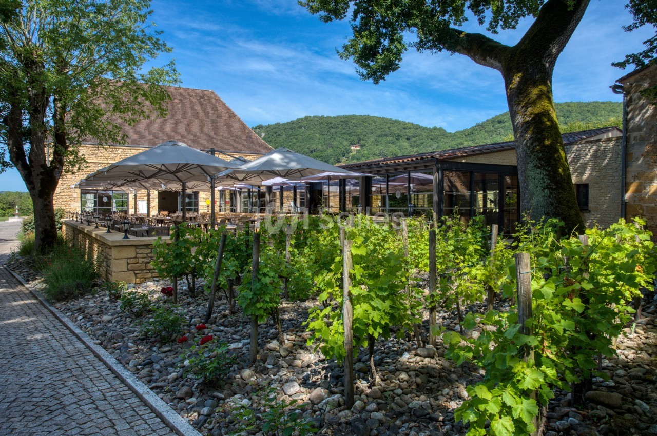 Terrasse d'un restaurant avec parasols, entourée de vignes et d'arbres, dans un cadre naturel verdoyant.
