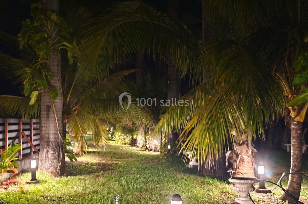 Allée bordée de palmiers éclairée par des lampes au sol, dans un jardin tropical de nuit.