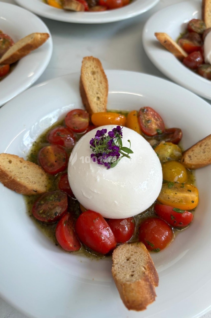 Assiette de burrata garnie de tomates cerises colorées, croûtons et herbes fraîches, décorée d'une fleur violette.