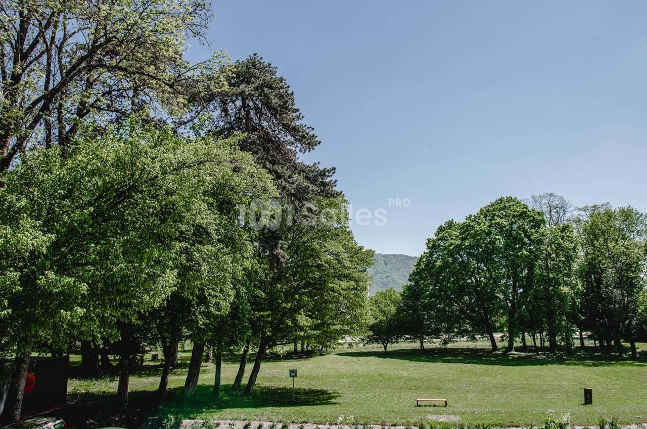 Un parc verdoyant avec des arbres feuillus, une pelouse dégagée et un ciel bleu clair en arrière-plan.