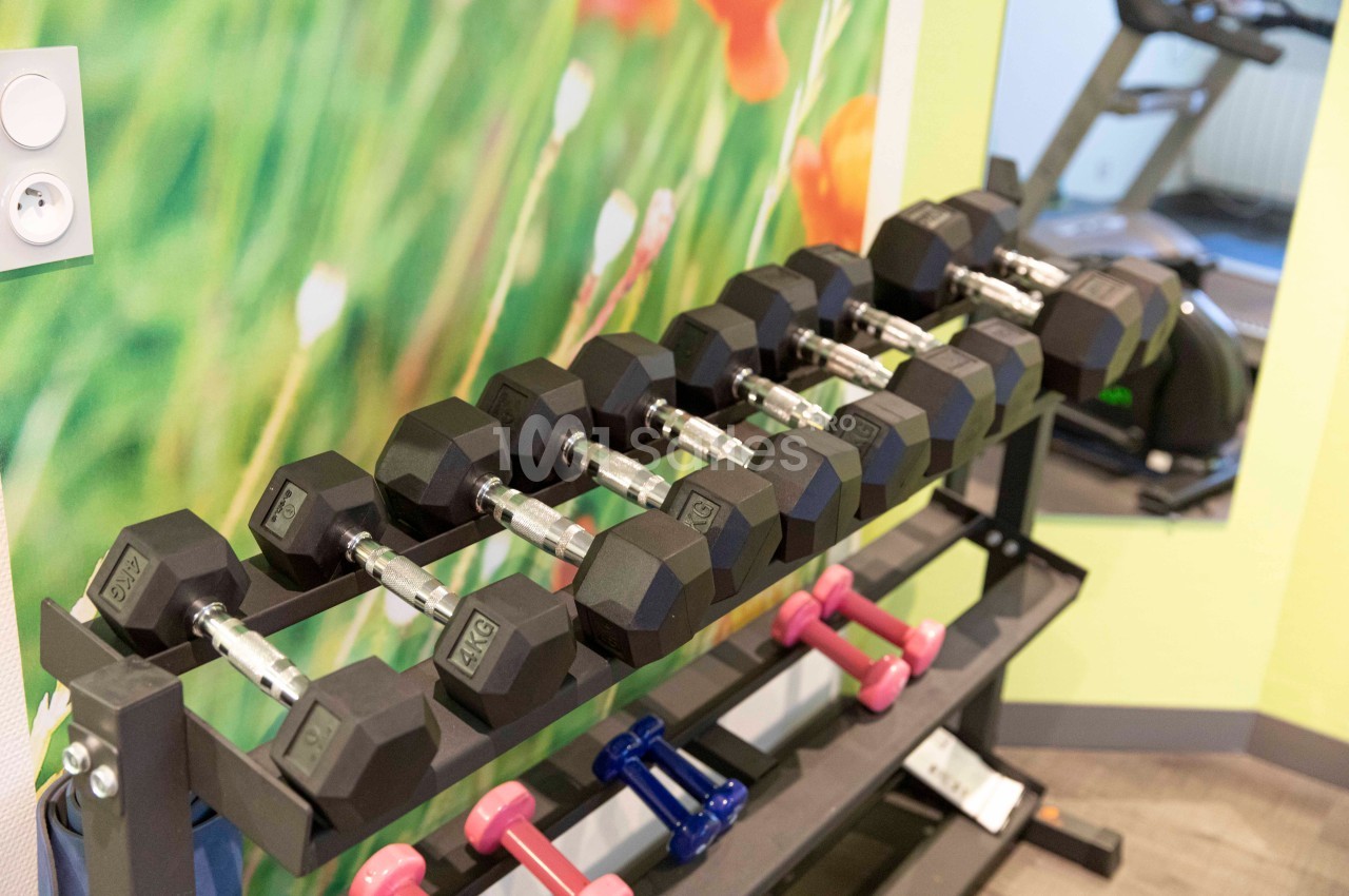 Haltères de différentes tailles rangés sur un support dans une salle de sport lumineuse avec un décor floral.