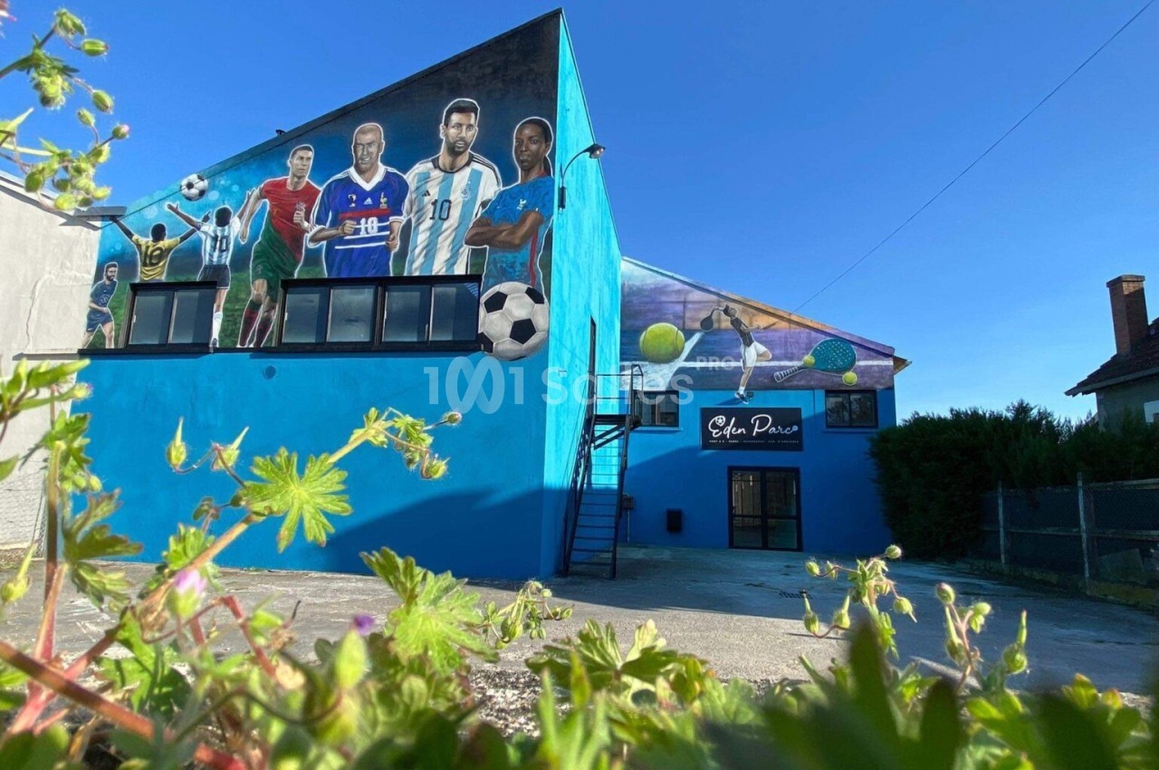 Fresque murale colorée représentant des sportifs sur la façade d'un bâtiment bleu, avec des plantes au premier plan.