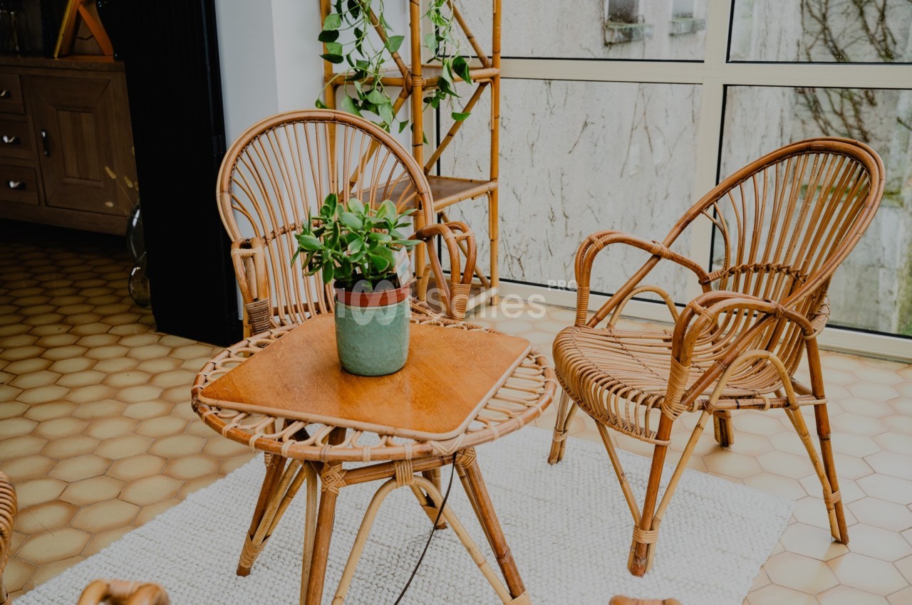 Deux fauteuils en rotin et une table assortie avec une plante en pot, dans une pièce lumineuse avec sol en carreaux.