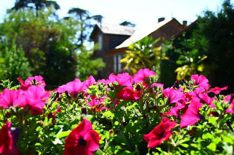 Domaine La Barrière - photo 3