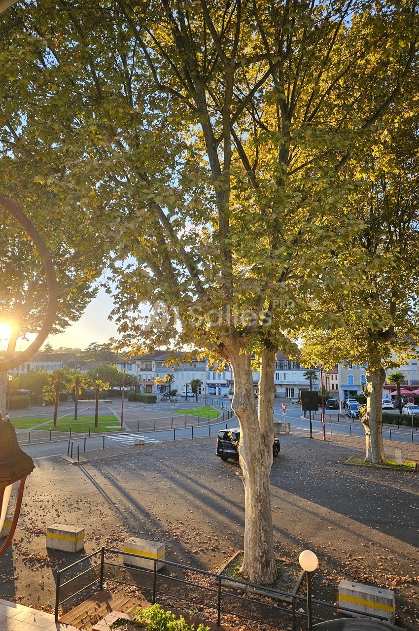 Vue d'une place bordée d'arbres au coucher du soleil, avec une voiture garée et des bâtiments en arrière-plan.