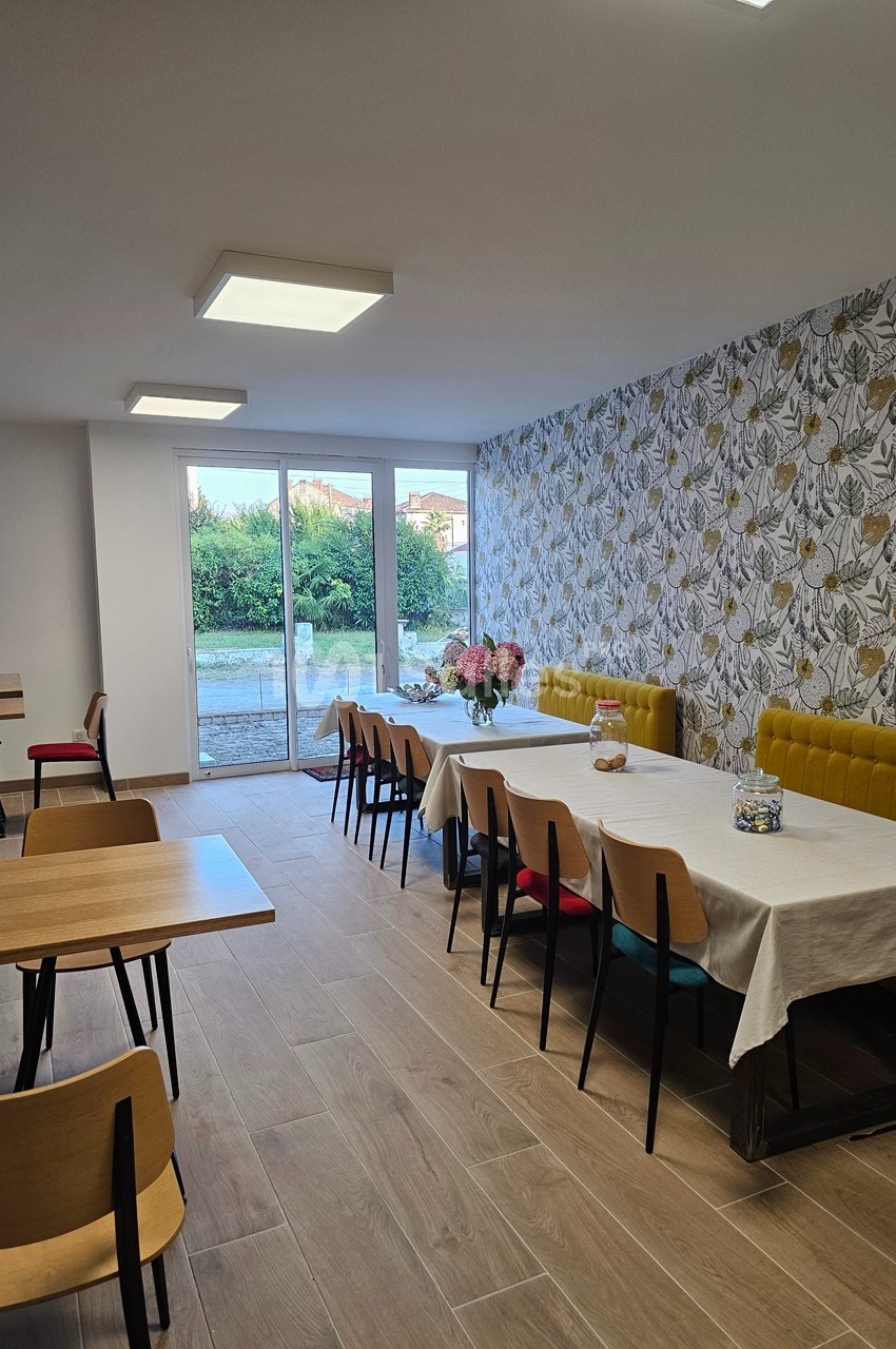 Salle lumineuse avec tables en bois, chaises colorées, banquette jaune, et mur décoré d’un papier peint floral.
