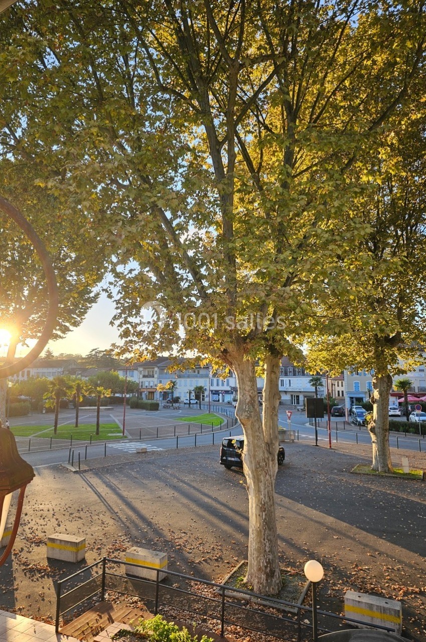 Place bordée d'arbres au coucher du soleil, avec une voiture garée et des bâtiments en arrière-plan.