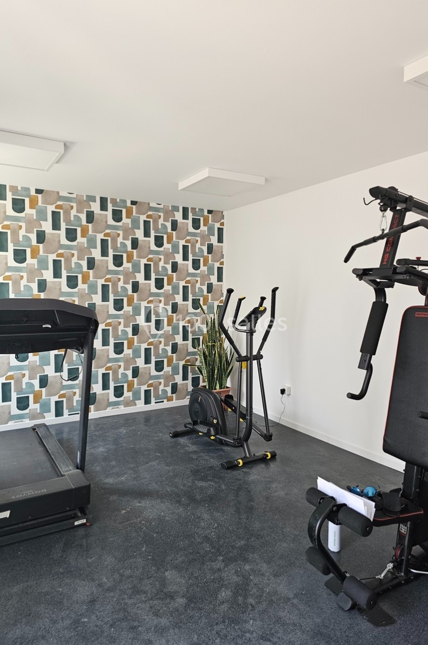 Salle de sport à domicile avec tapis de course, vélo elliptique, machine de musculation et plante décorative.