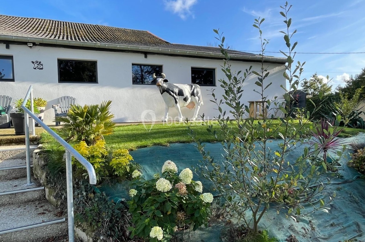 Une vache se tient sur une pelouse devant une maison blanche entourée de plantes et d'arbustes.