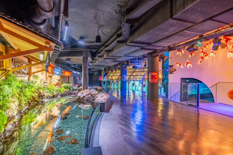 Les Salons de L'aquarium de Paris - photo 4