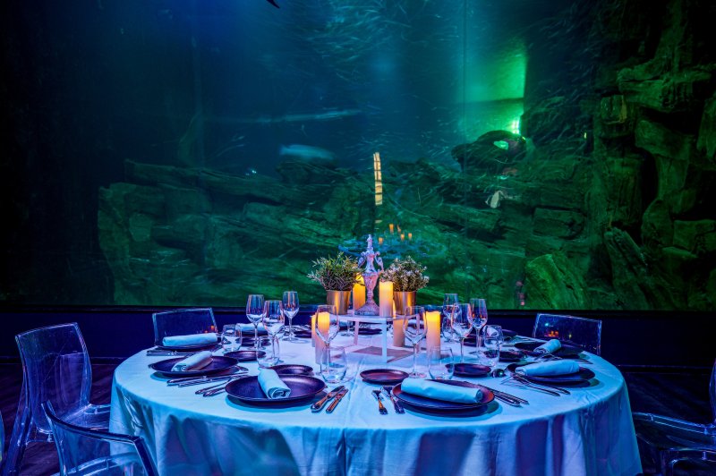 Les Salons de L'aquarium de Paris - photo 5