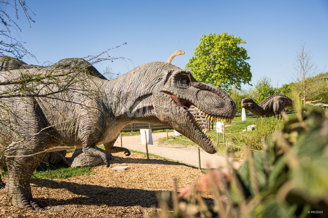 Statues de dinosaures réalistes dans un parc extérieur, entourées de végétation et sous un ciel bleu.