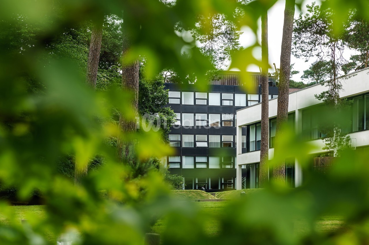Bâtiment moderne entouré de verdure, partiellement visible à travers des feuilles au premier plan.