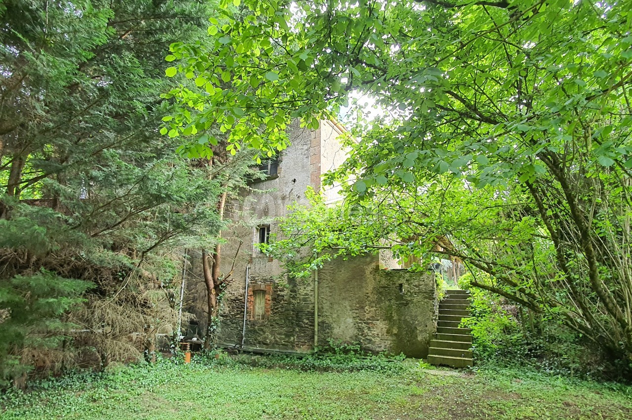 Ruines d'un bâtiment en pierre entourées de végétation dense, avec un escalier extérieur visible.