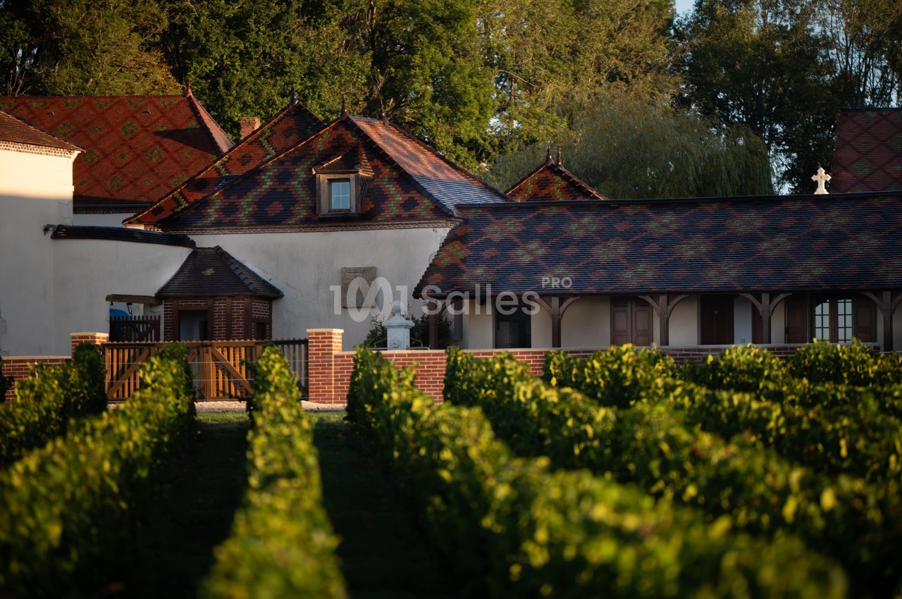 Bâtiments traditionnels avec toits en tuiles colorées entourés de vignes sous une lumière douce en fin de journée.