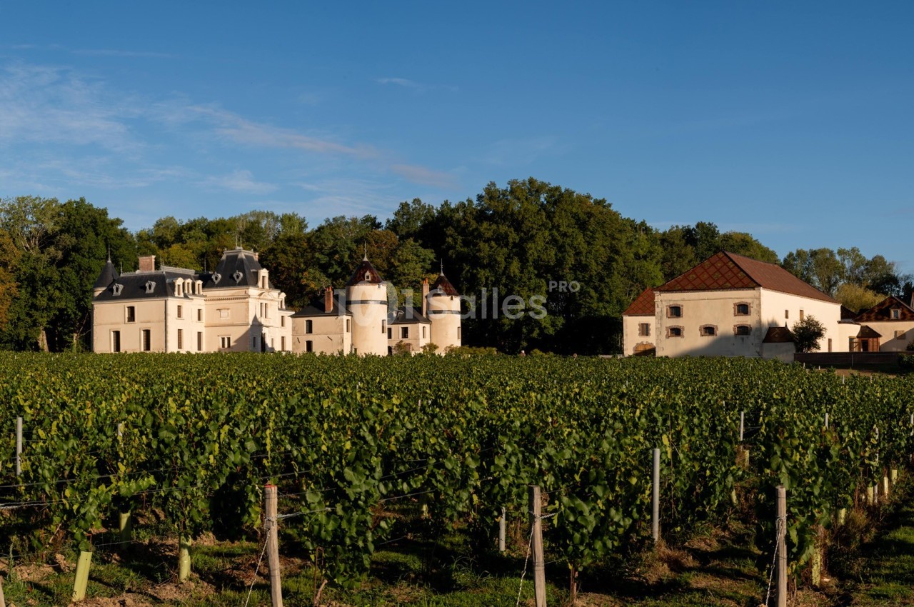 Vignoble avec un château blanc entouré de bâtiments annexes, bordé d'arbres sous un ciel dégagé.