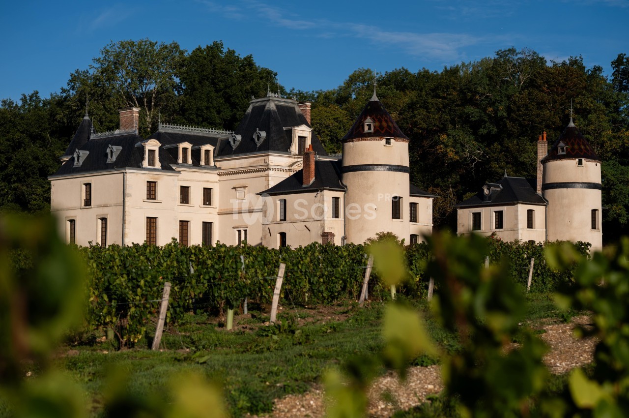 Château entouré de vignes verdoyantes sous un ciel bleu, bordé par une forêt en arrière-plan.