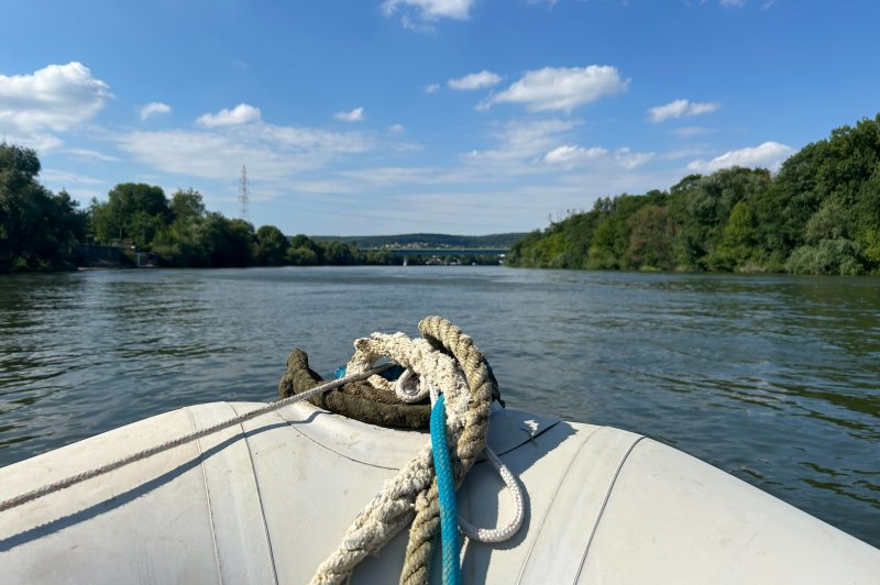 Ile du Roi - photo 3