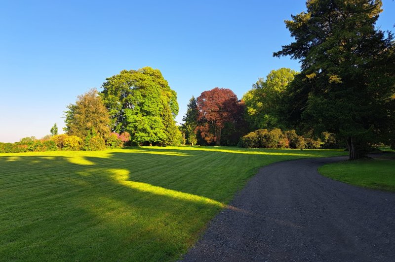 Domaine Château de Calmont - photo 3