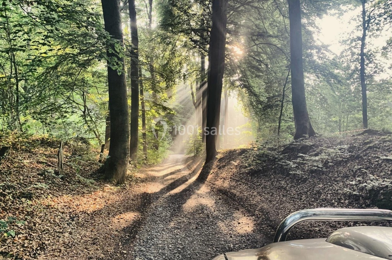 Chemin forestier ensoleillé avec des rayons de lumière traversant les arbres, vue partielle d'un véhicule au premier plan.