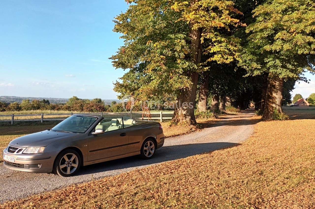 Voiture décapotable beige stationnée sur un chemin bordé d'arbres en automne, avec un paysage rural en arrière-plan.