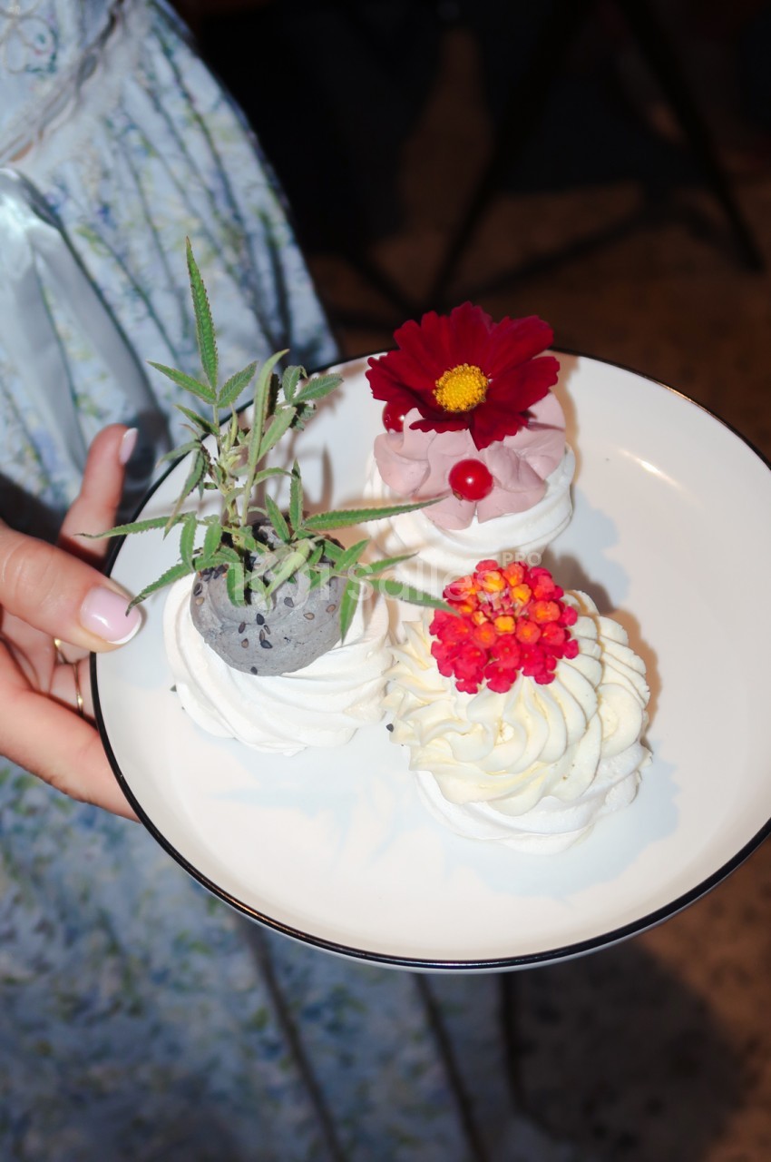 Main tenant une assiette blanche de cupcakes garnis de crème et décorés de fleurs rouges et d'une plante verte.