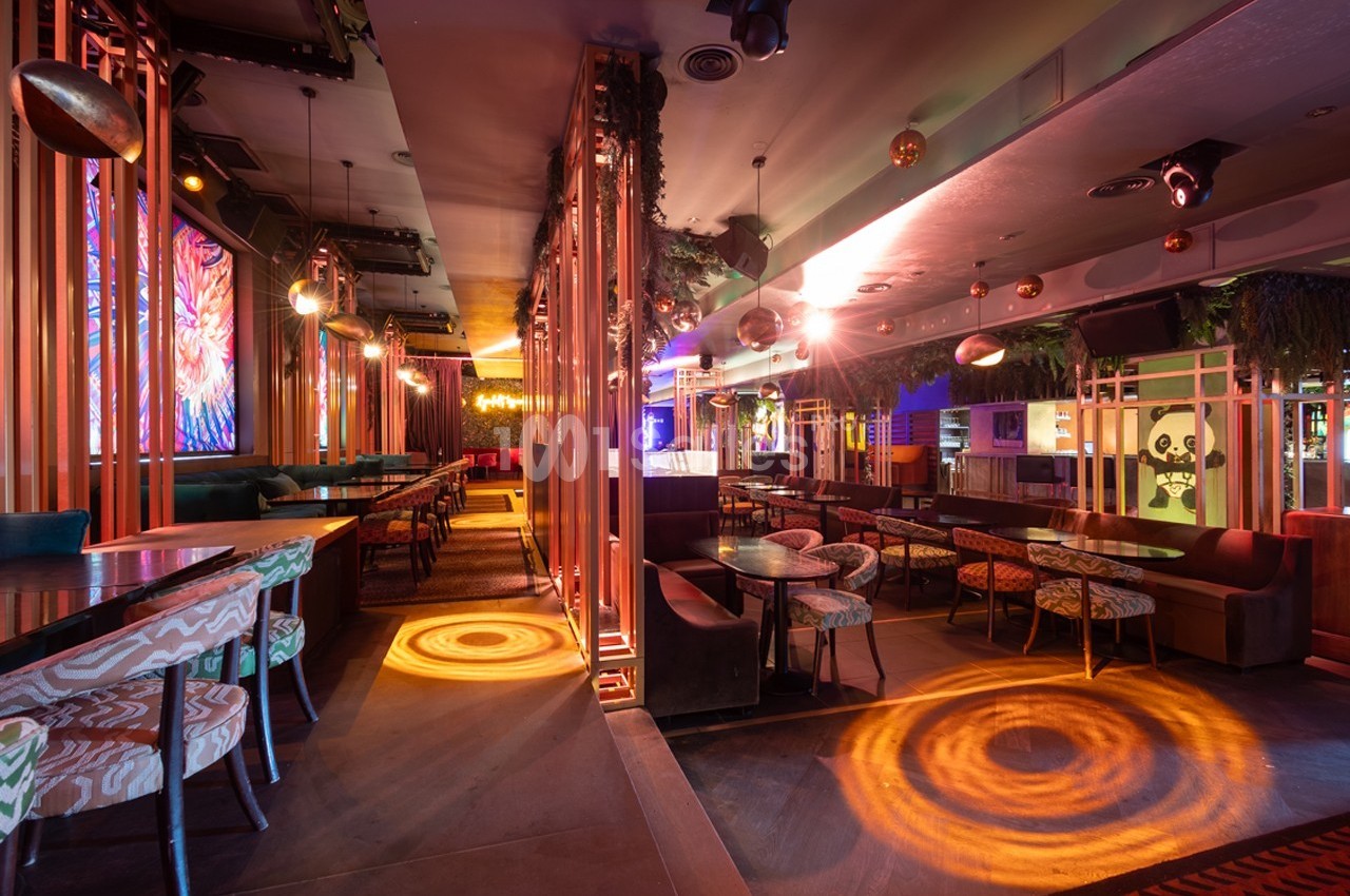 Salle de restaurant moderne avec éclairage coloré, mobilier varié et décoration végétale suspendue.