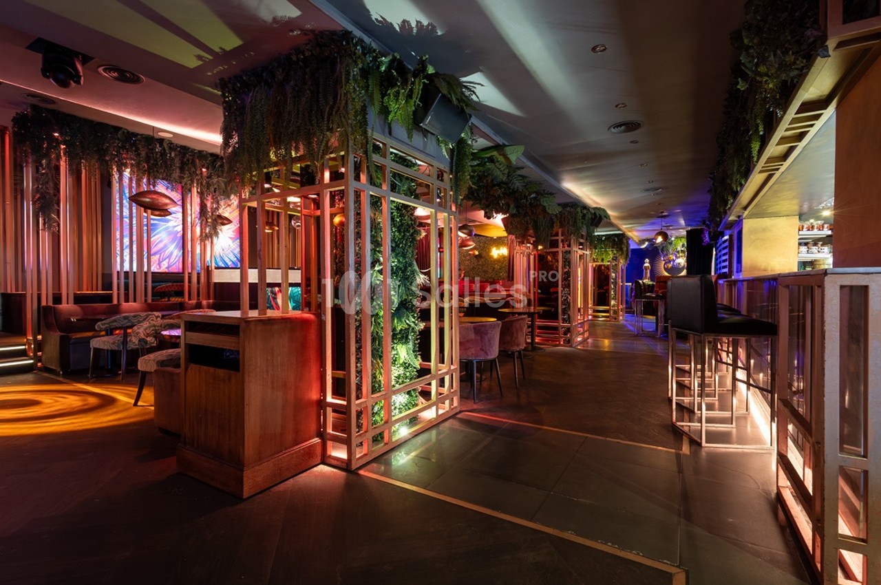 Intérieur d'un bar moderne avec éclairage coloré, végétation suspendue et mobilier contemporain.
