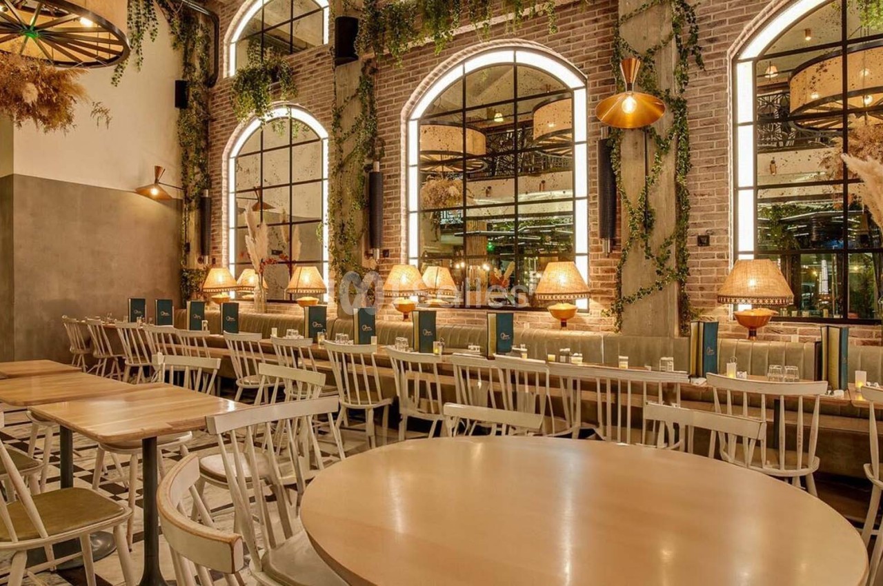 Salle de restaurant chaleureuse avec tables en bois, chaises claires, miroirs arqués et décoration végétale suspendue.
