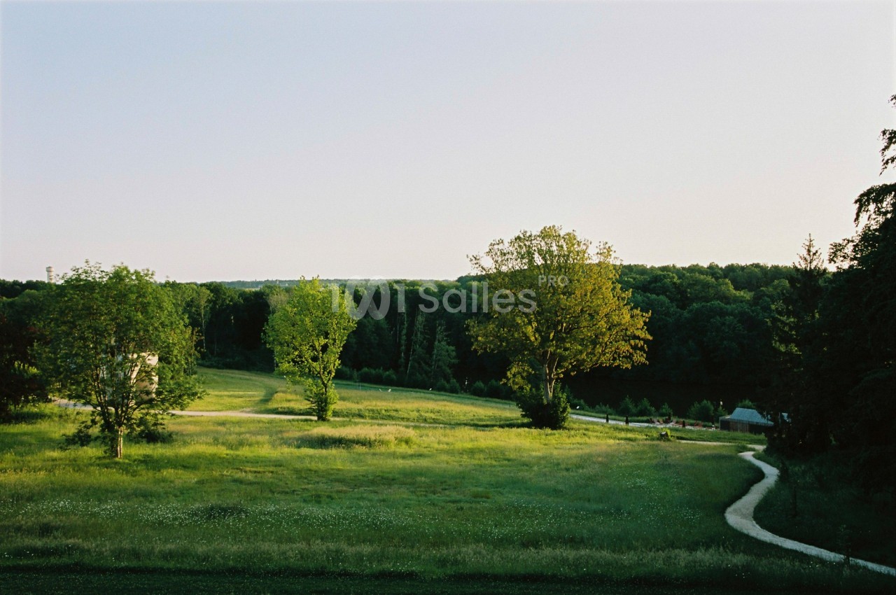 Paysage verdoyant avec un sentier sinueux traversant une prairie entourée d'arbres sous un ciel clair.