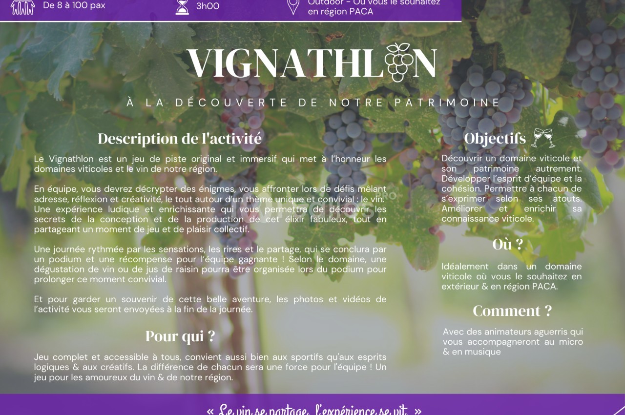 Des grappes de raisin sur une vigne avec un texte décrivant une activité œnologique en région PACA.