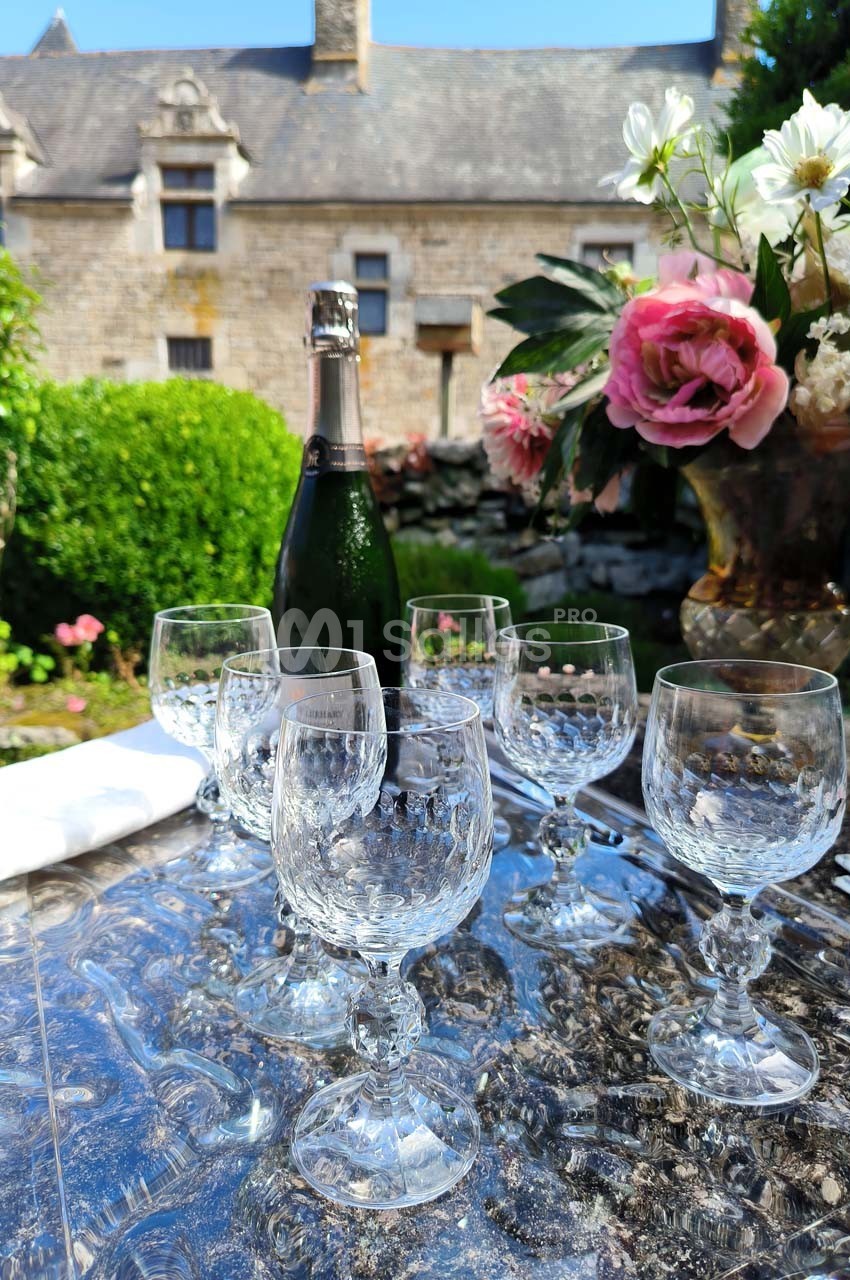 Bouteille de champagne et verres en cristal disposés sur une table en extérieur, avec un jardin et un bâtiment en arrière…