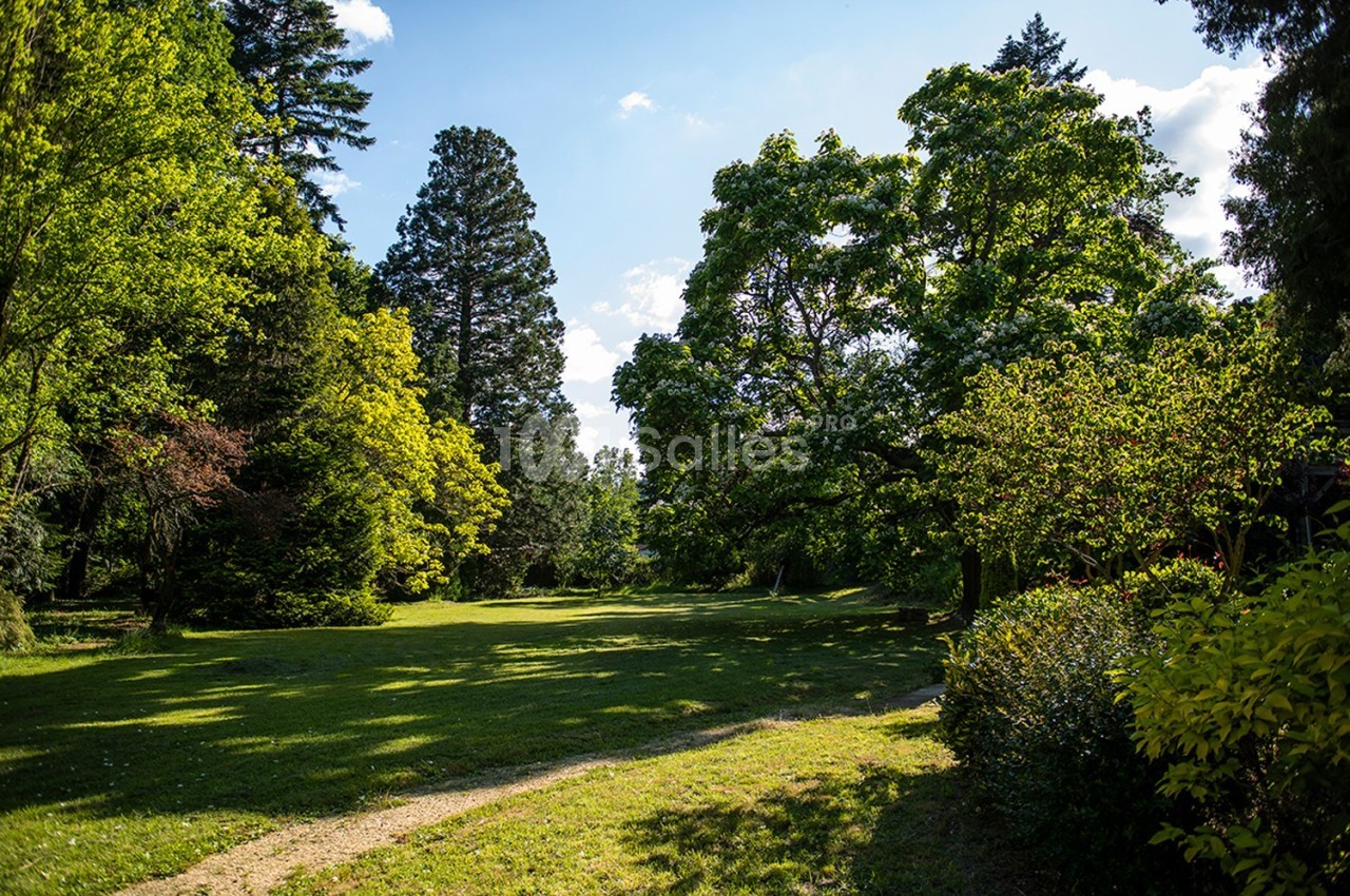 Pelouse ensoleillée entourée d'arbres et de buissons dans un parc, sous un ciel bleu avec quelques nuages.