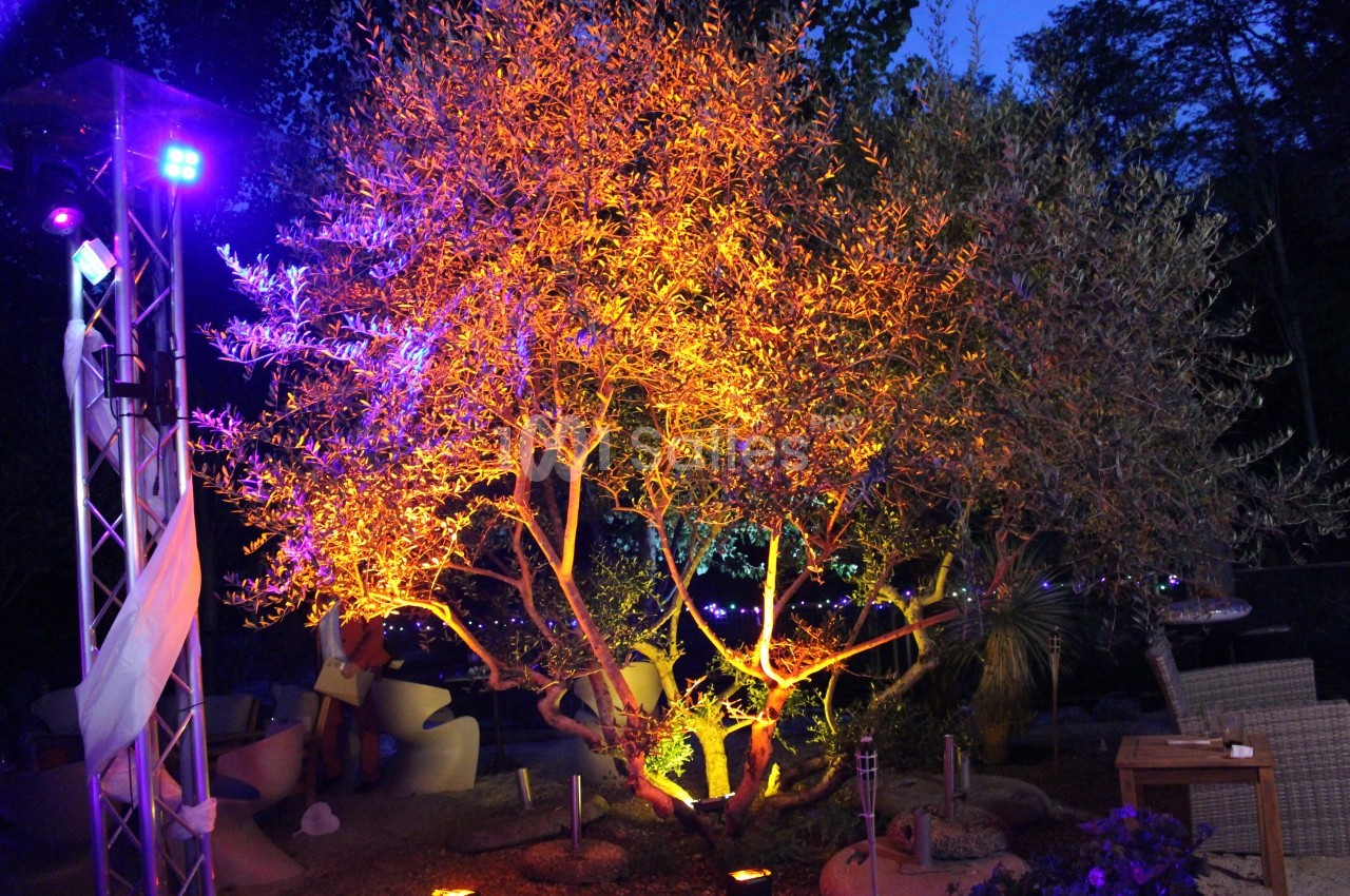 Arbre illuminé par des lumières colorées dans un jardin en soirée, avec des meubles extérieurs en arrière-plan.