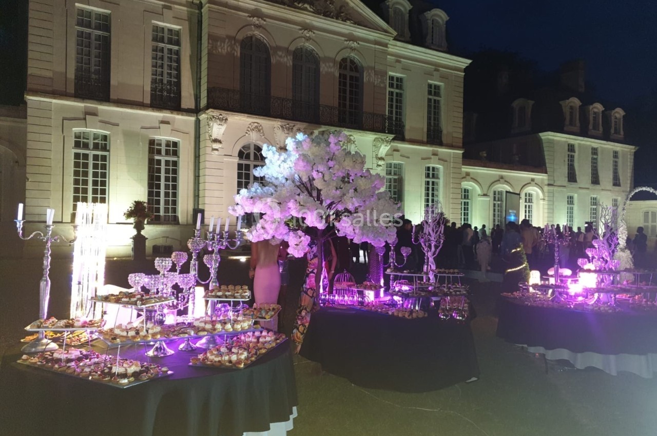Buffet éclairé en extérieur devant un château de nuit, avec décorations lumineuses et arbre fleuri.