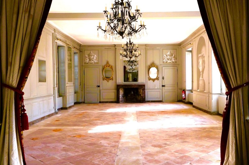 Château des Ormes - photo 5