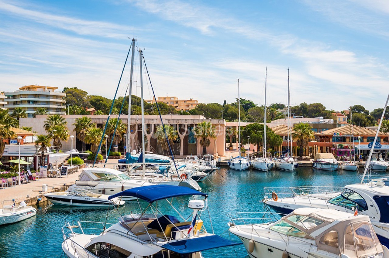 Port de plaisance avec des voiliers et bateaux amarrés, entouré de bâtiments modernes et de palmiers sous un ciel bleu.